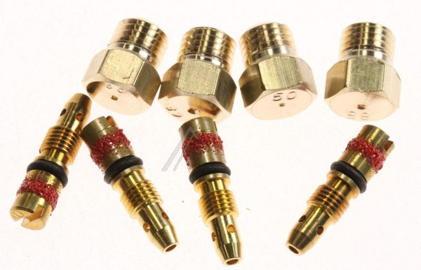 Set duze injector gaz liche potrivita pentru fiat BOSCH/SIEMENS